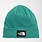 The North Face The North Face Dockworker Beanie NF0A3FNT