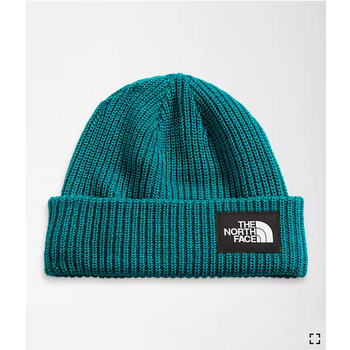 THE NORTH FACE The North Face Salty Lined Beanie NF0A3FJW