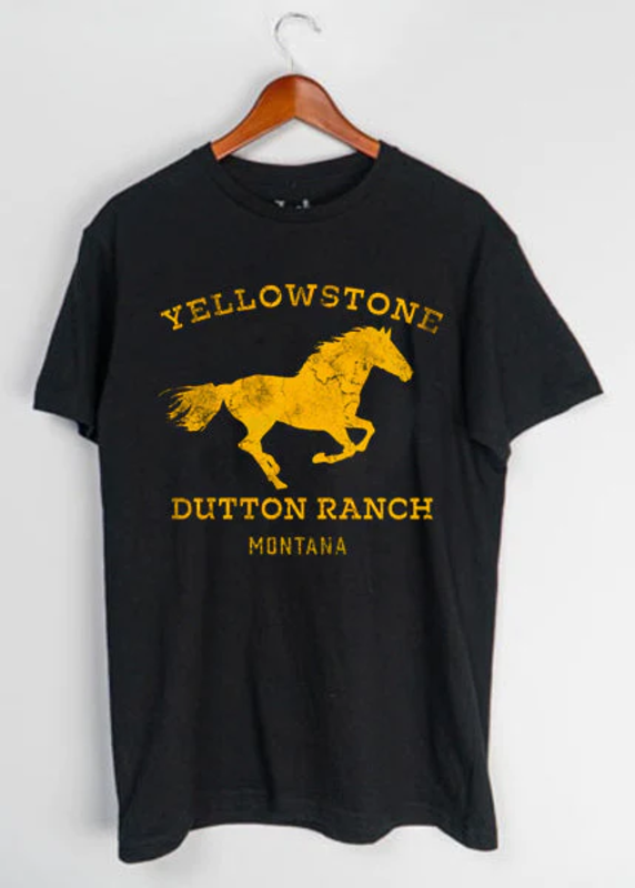 Jack Of All Trades Yellowstone YS Stallion  -66-18