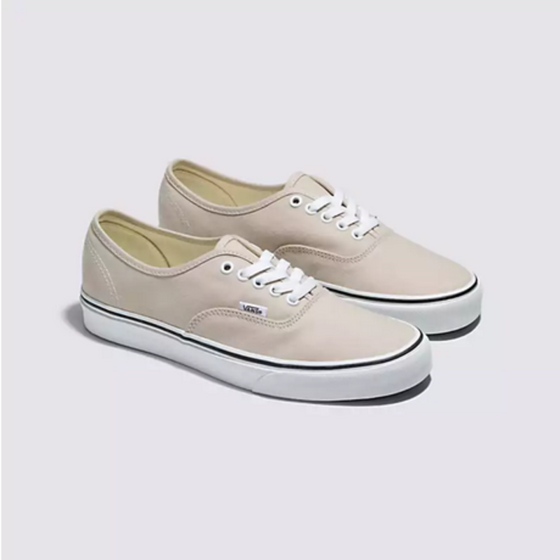 Vans Vans Hommes Authentic VN0A5KS9BLL