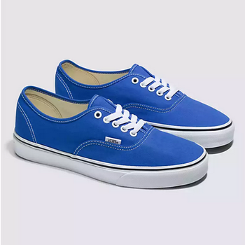 Vans Vans Hommes Authentic VN0A5KS96RE