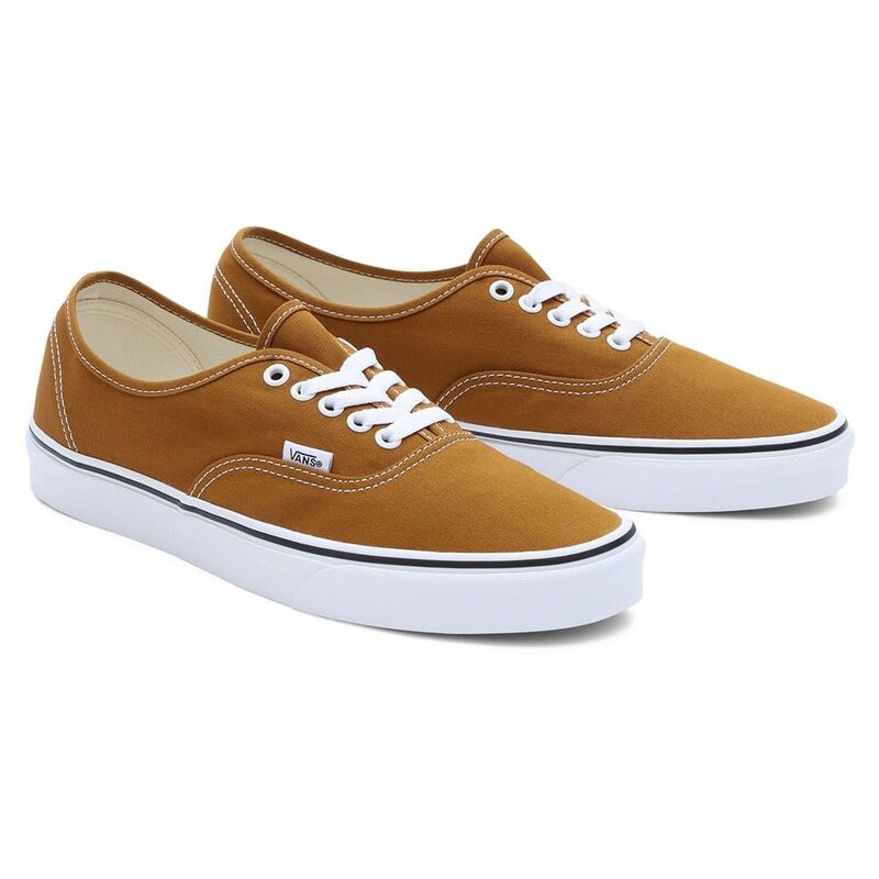 Vans Vans Men's Authentic Color Theory VN0009PV1M71