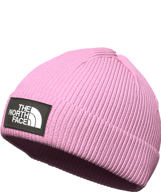 The North Face The North Face Logo Box Cuff Beanie NF0A3FJX