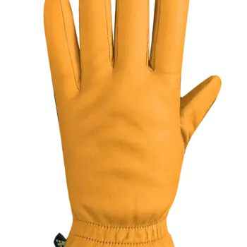 Auclair Auclair Women's 7G004 Demi Gloves