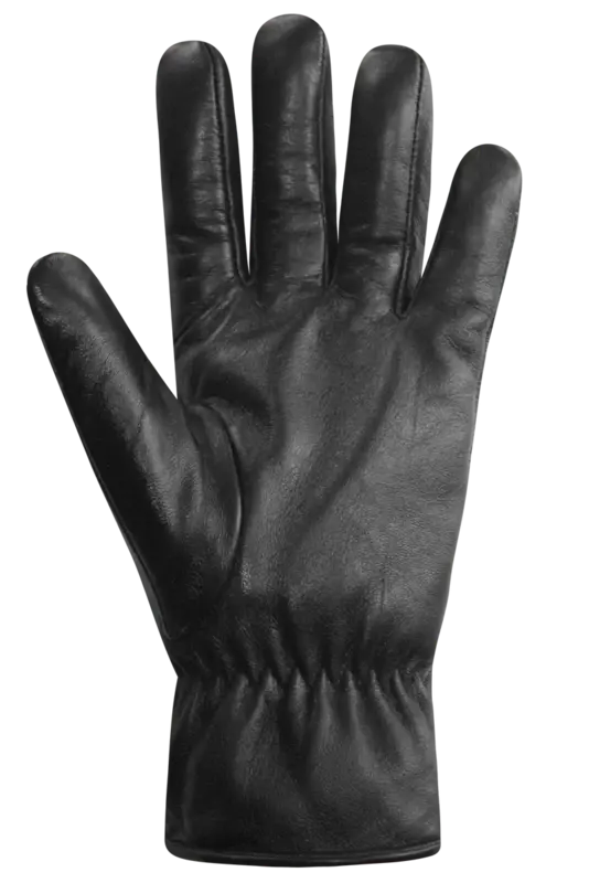 Auclair Auclair Men's 6C025 Frank Gloves