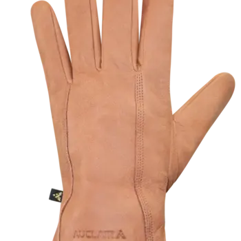 Auclair Auclair Men's Aiden Glove 6G270