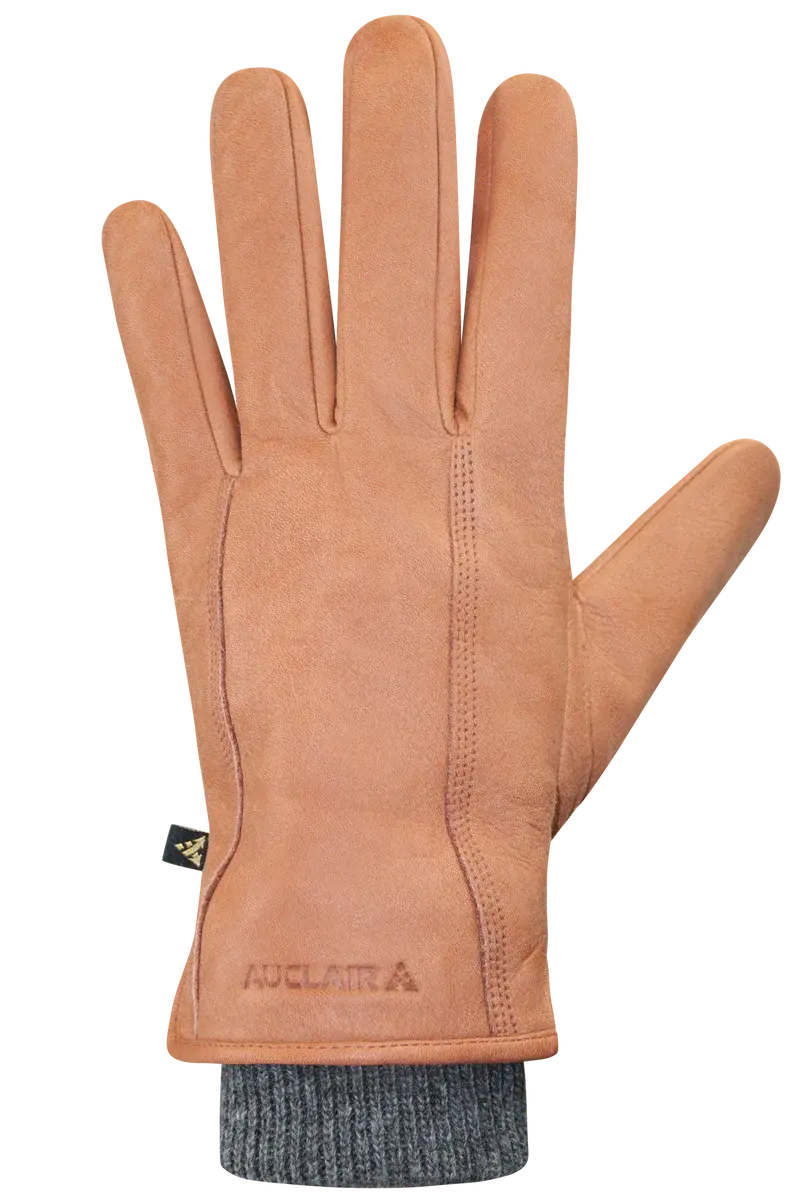 Auclair Auclair Hommes 6G270 Aiden Gants