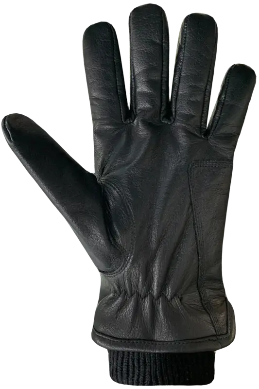 Auclair Auclair Men's 6G270 Aiden Glove