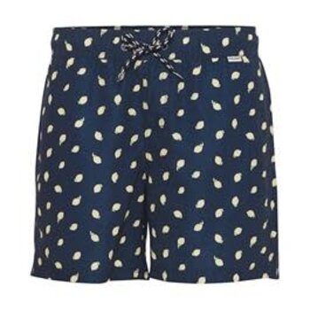 Blend Blend Hommes Natation Short 20716980