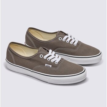 Vans Vans Hommes Authentic Theory VN000BW59JC