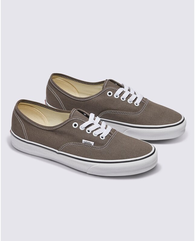 Vans Vans Hommes Authentic Theory VN000BW59JC