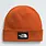 The North Face The North Face Dockworker Beanie NF0A3FNT