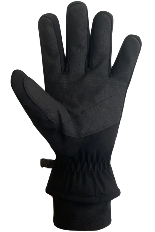 Auclair Auclair Men's Ducktail Down Gloves 2F018