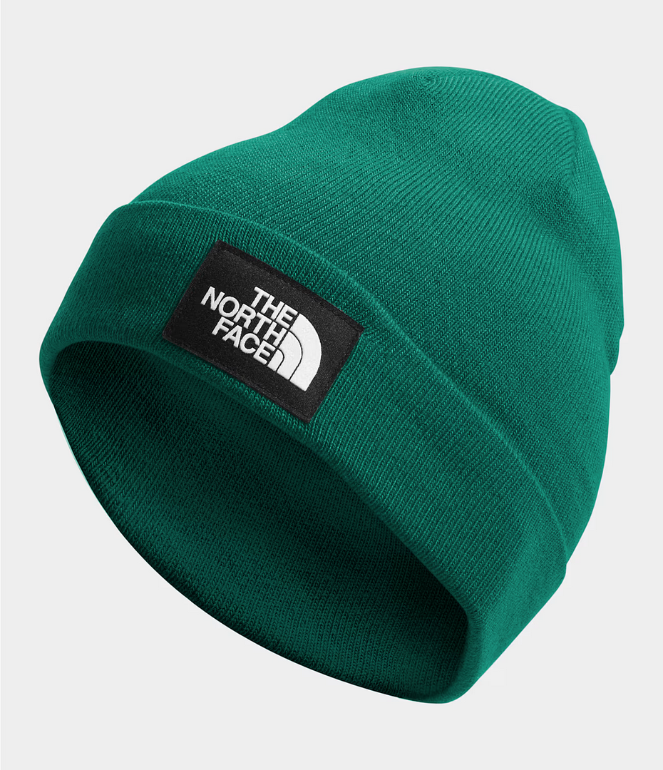 The North Face The North Face Dockworker Beanie NF0A3FNT