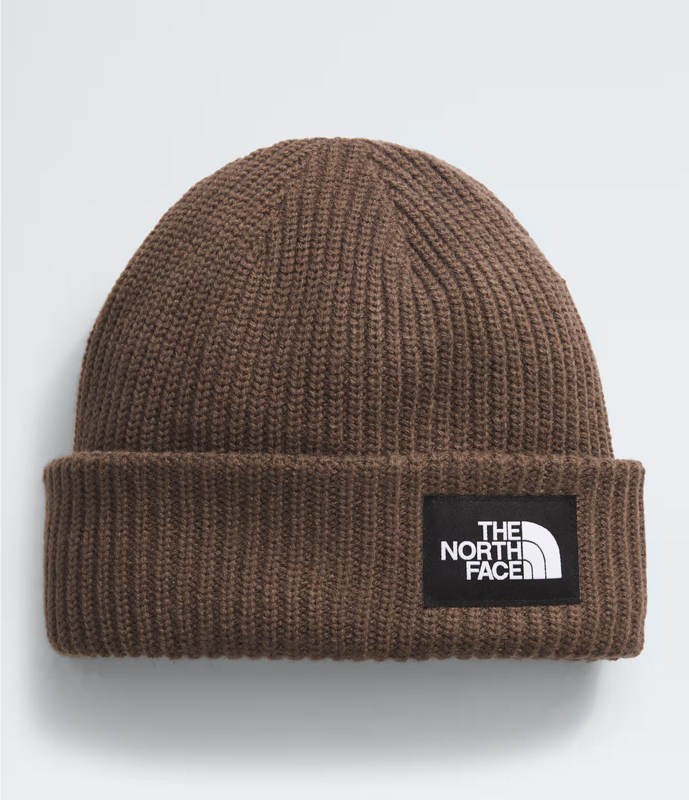 The North Face The North Face Salty Lined Beanie NF0A3FJW