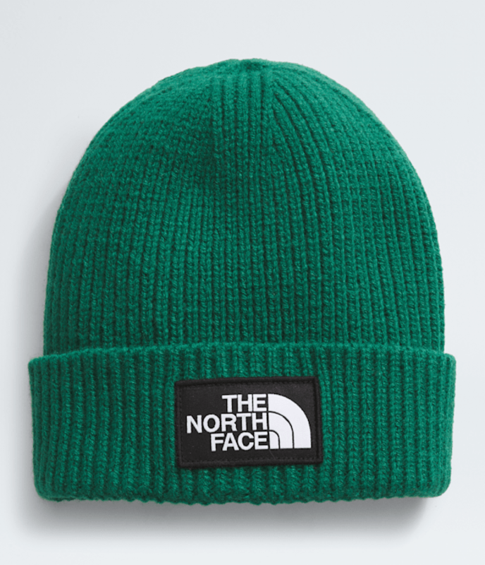 The North Face The North Face Salty Lined Beanie NF0A3FJW