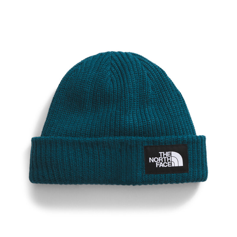 The North Face The North Face Salty Lined Beanie NF0A3FJW