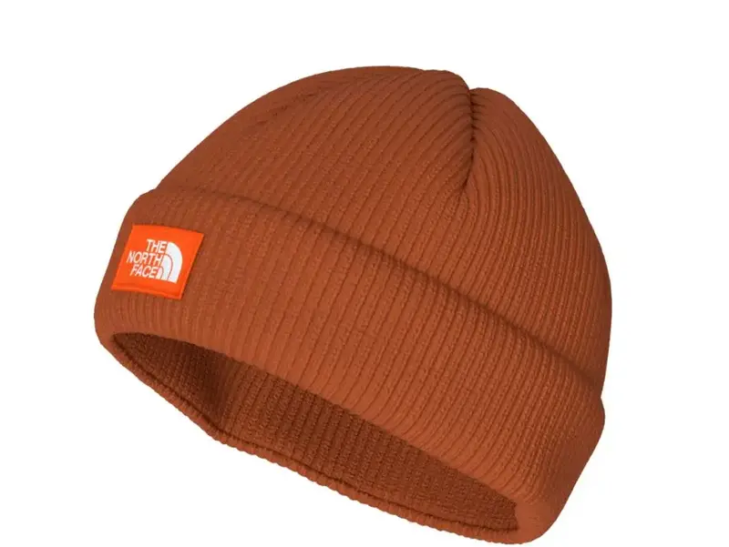 The North Face The North Face Salty Lined Beanie NF0A3FJW