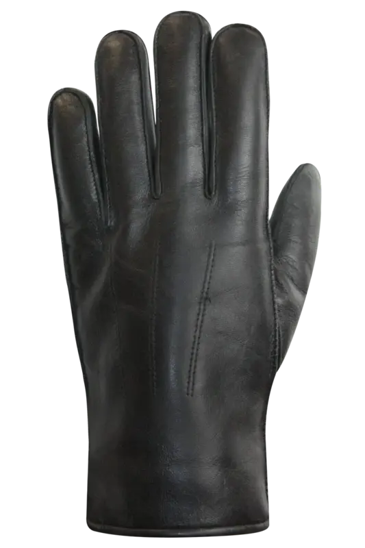 Auclair Auclair Men's Rodney Gloves 6B125