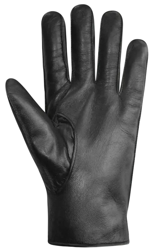 Auclair Auclair Men's Rodney Gloves 6B125