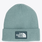The North Face The North Face Logo Box Cuff Beanie NF0A8CHE
