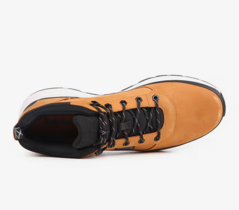 Timberland Timberland Men's Field Trekker Low TB0A2DMV754