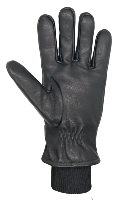 Auclair Auclair Men's Owen Gloves 6B002