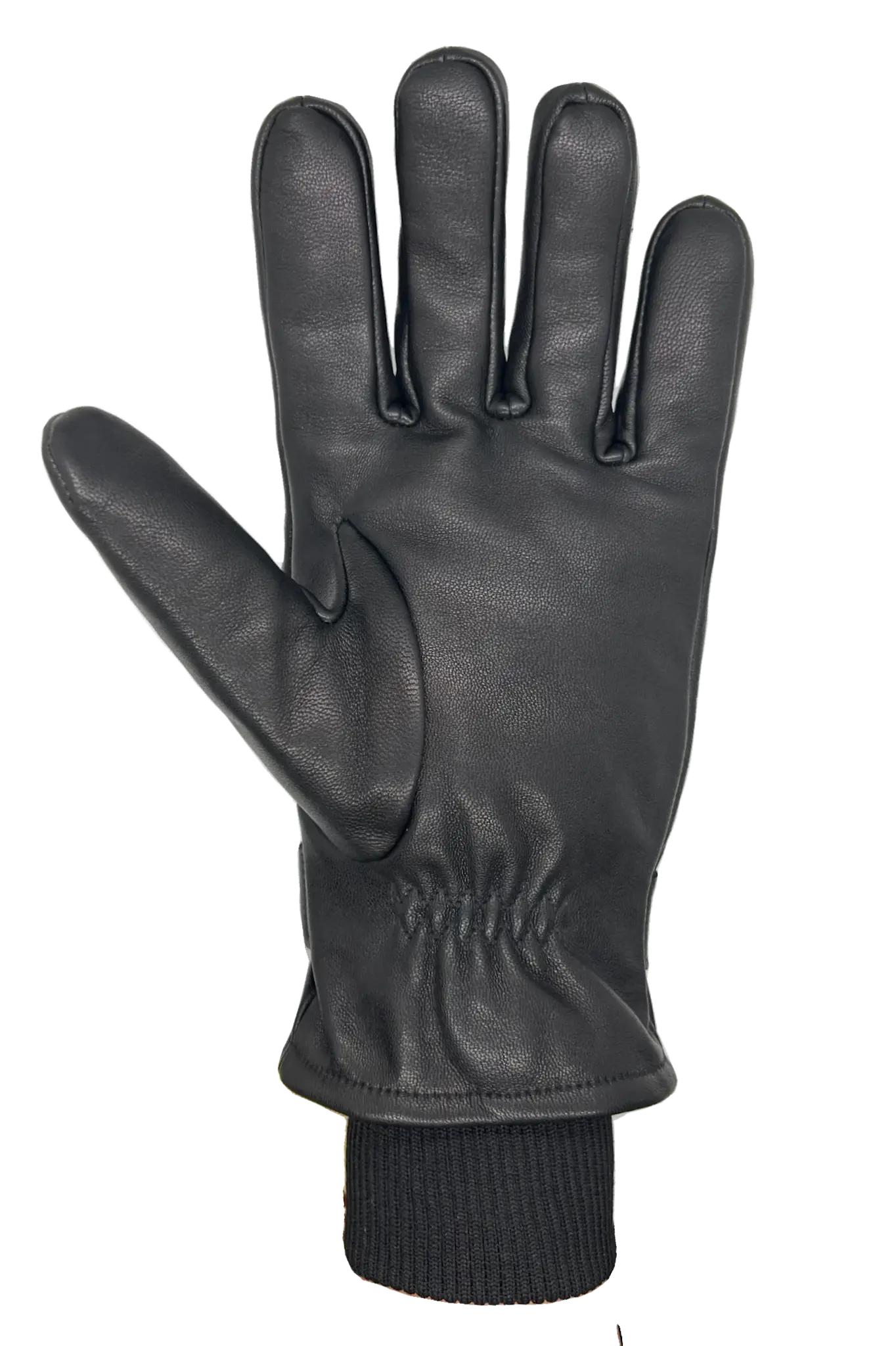Auclair Auclair Men's Owen Gloves 6B002