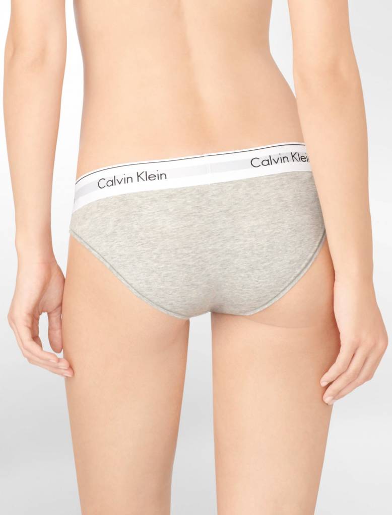 Calvin Klein Modern Cotton Bikini Panties F3787 S, M, L, XL MSRP $20 NWT
