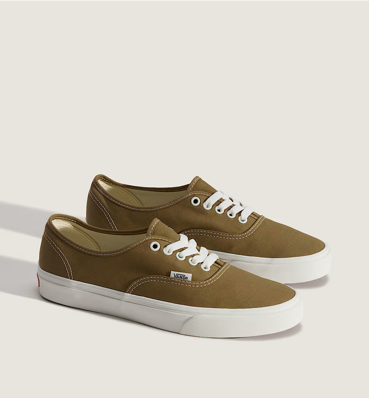 Vans Vans Hommes Théorie Authentique VN000D7YOVB1