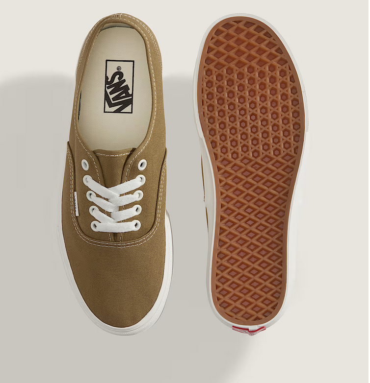 Vans Vans Hommes Théorie Authentique VN000D7YOVB1