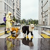The Best Men's Rain Boots in Canada for 2026