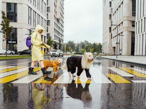 The Best Men's Rain Boots in Canada for 2026