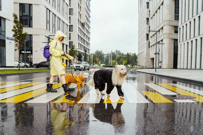 The Best Men's Rain Boots in Canada for 2026