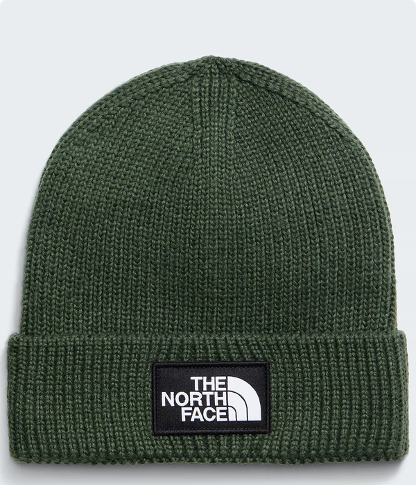 The North Face The North Face Logo Box Cuff Beanie NF0A8CHE