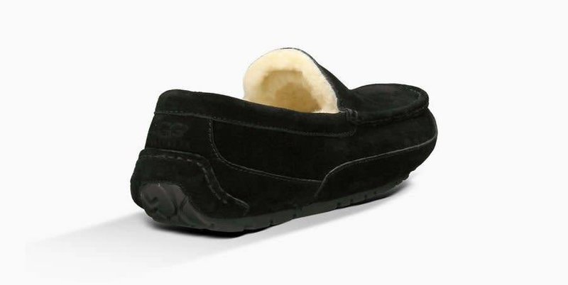 Ugg UGG Hommes Ascot 1101110