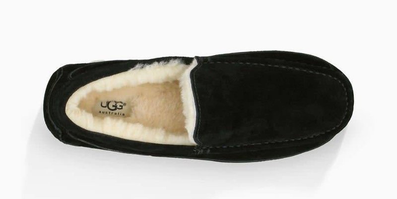 Ugg UGG Hommes Ascot 1101110