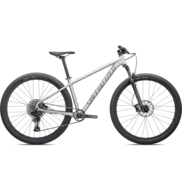 SPECIALIZED ROCKHOPPER EXPERT 29 - Silver Dust/Black Holographic SMALL