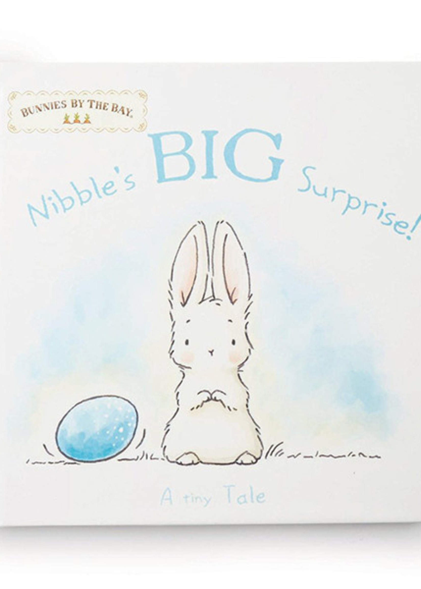 Bunnies By The Bay Book: Nibble’s Big Surprise