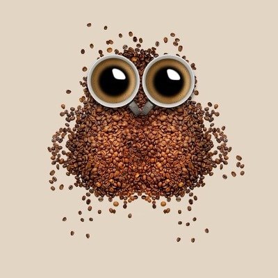 My brand Bird coffee