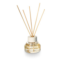 Illume Holiday Diffuser Set