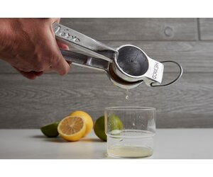 Aluminum Hand Juicer – The Slate Group