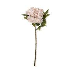 Artificial Peony, Evening Dew