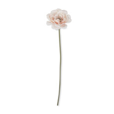 Artificial Peony, Garden Lace