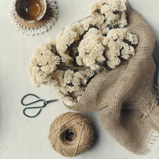 Artificial Sedum, Cream