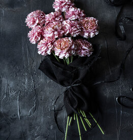 Carnation Stem