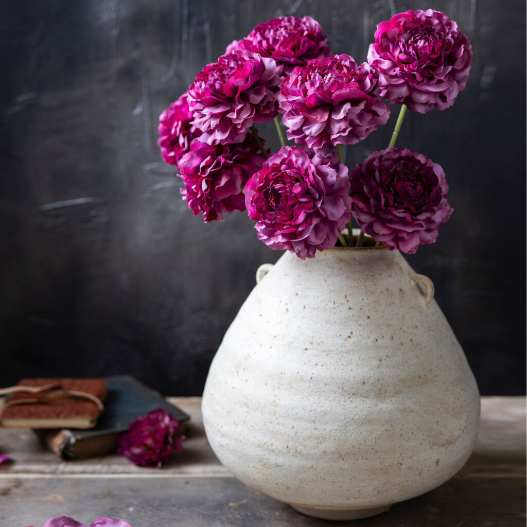 Carnation Stem