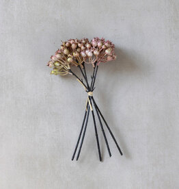 Rose Hip Bunch