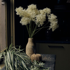 Allium Cream Bunch