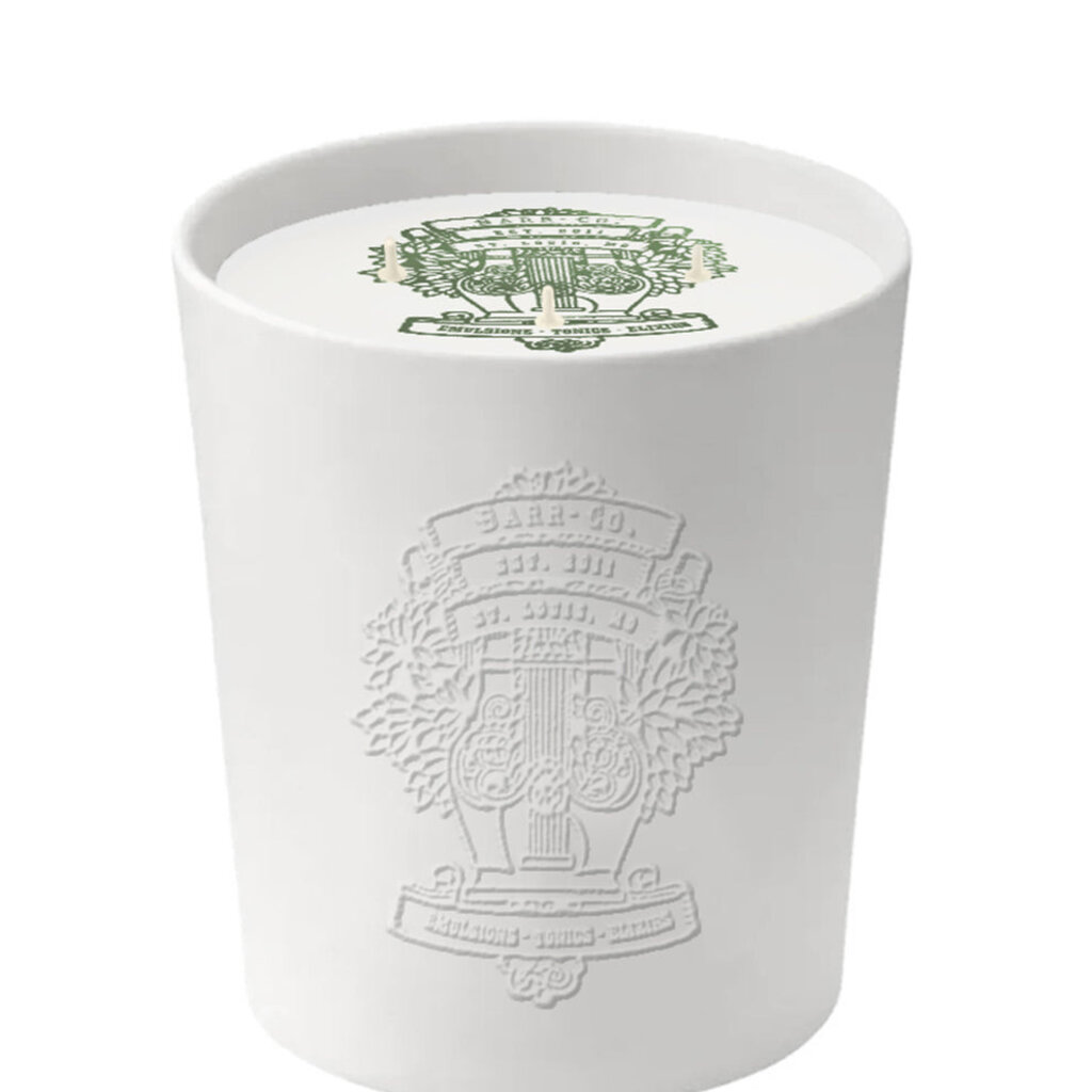Barr Co Fir & Grapefruit Ceramic Candle